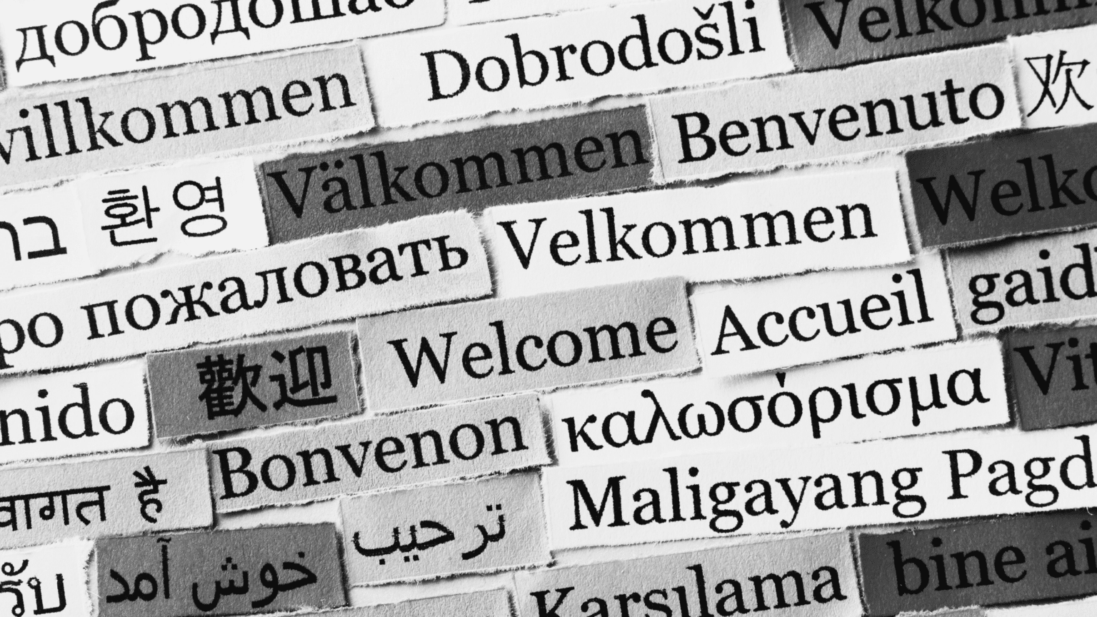 multilingual client communication