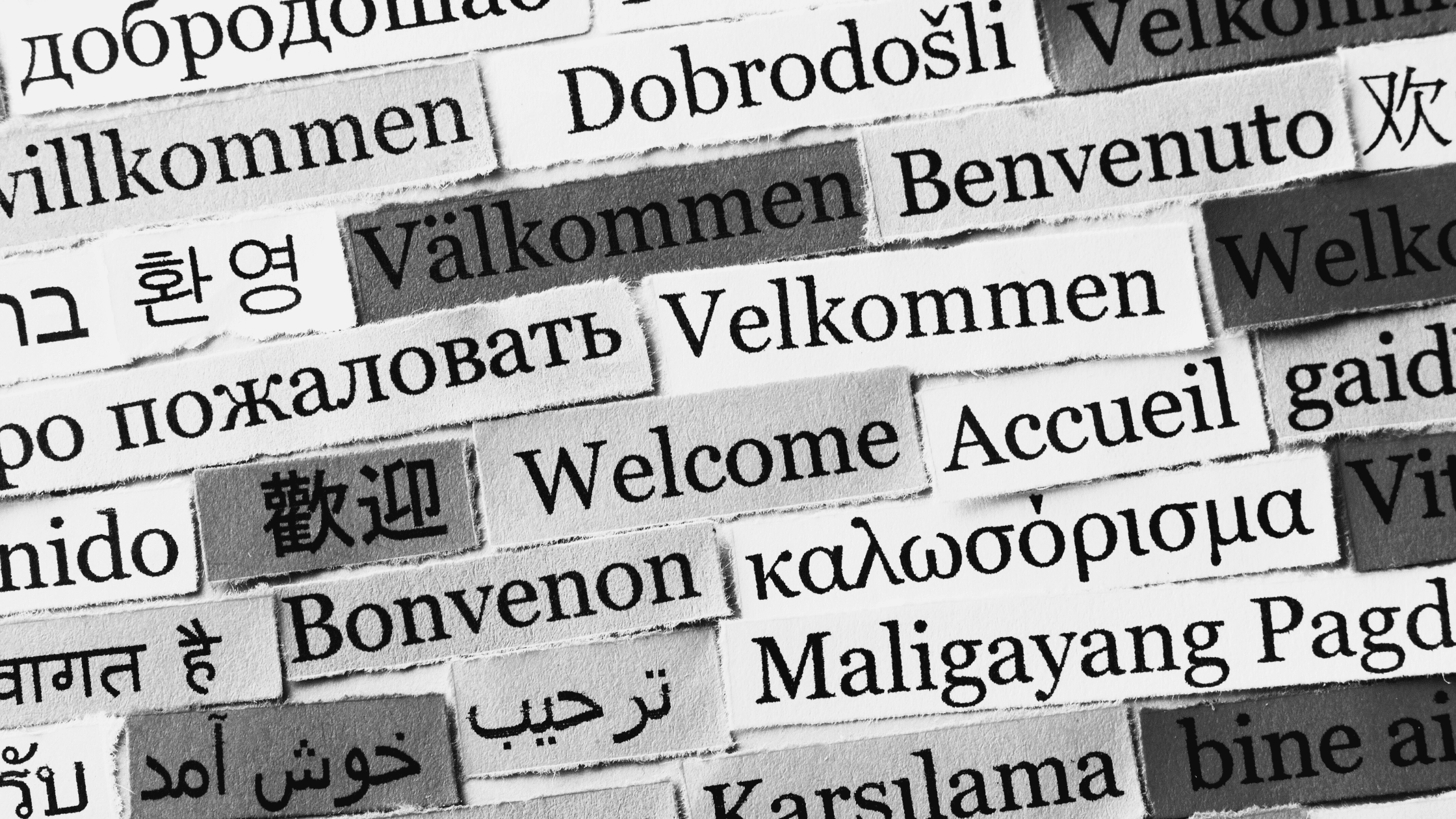 multilingual client communication